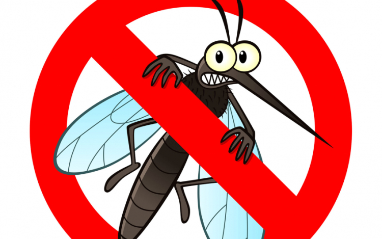 Járványokat is okozhatnak a már megjelent új szúnyogfajok