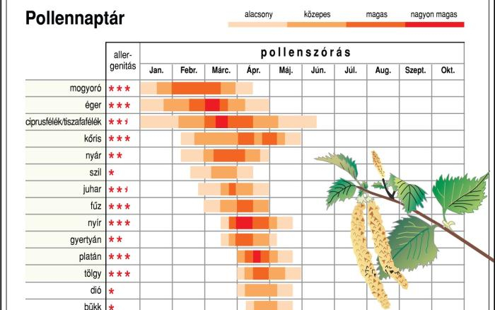 Tart a parlagfű pollenszezon csúcsidőszaka